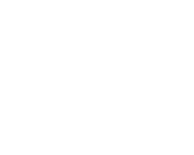 DevNet Professional